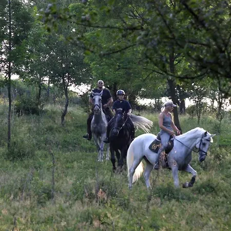 Lipicai Apartmanhazak *