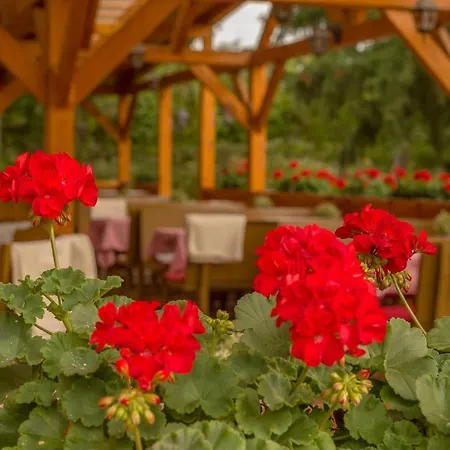 公寓 Lipicai Apartmanhazak