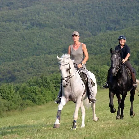 Lipicai Apartmanhazak 公寓 Szilvásvárad