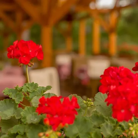 Lipicai Apartmanhazak *